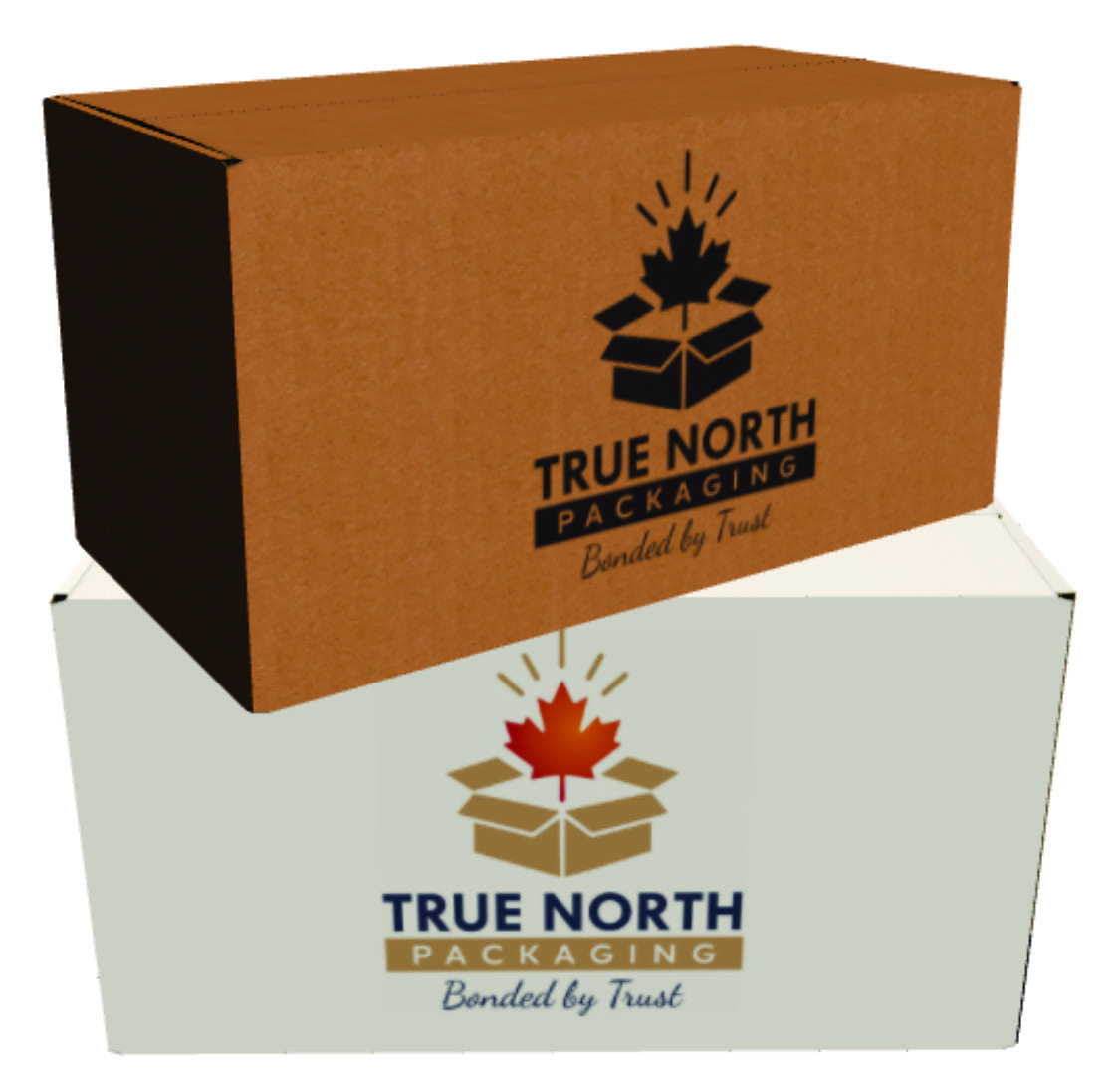 Regular Slotted Containers (RSC) | True North Packaging